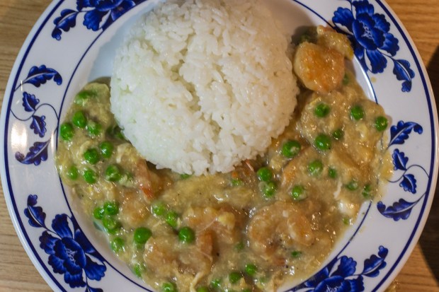 002_cc_dd_shrimplobster