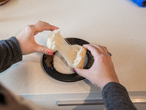 031_cc_mochi_20170104